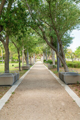 Pathway with white lines and seats near the trees on the side in Miami, Florida