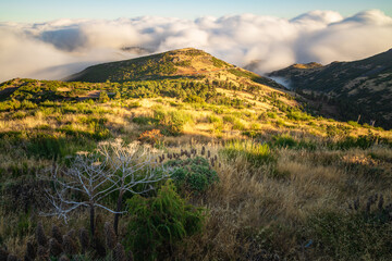 fog rolling over the mountains on the island of Madeira - Portugal