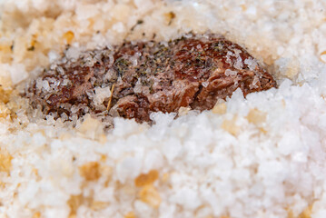 Meat baked in coarse sea salt close-up photo