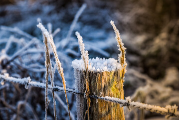 Den Helder, Netherlands. December 2022. Wooden pole with hoarfrost.