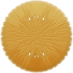 Abstract transparent golden burst texture design element.