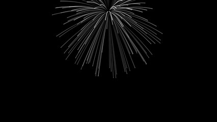 Explosion of fireworks with long falling particles. Abstract festive for advertising, congratulations, text, mother day, Valentine, Christmas. 3D render