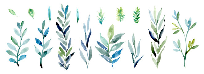 A large set of watercolor green leaves on a white background. A set of branches with leaves. Botanical watercolor collection of leaves for design
