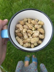 delicious summer