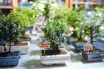 Essen, Germany - December 13, 2022: Christmas atmosphere at the open xmas market. Celebrating Xmas holidays. Lights, carousel, small houses, toys and decorations at fair in European city or town