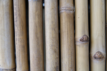 bamboo fence background