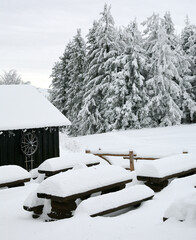 Biała, śnieżna zima na górskim szlaku w Beskidzie Śląskim