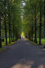 Walking in the park