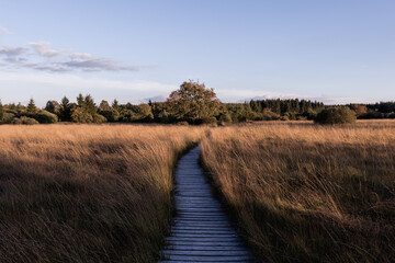 Brackvenn Path
