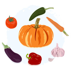 Vegetables pumpkin, bell pepper, jalapeno pepper, carrot, garlic, tomato, eggplant lie one after the other