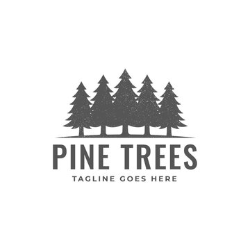 pine tree vintage logo vector template