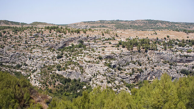 Sicilia, macchia mediterraneo