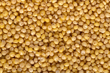 Background of raw millet seeds close up. Millet seeds texture.
