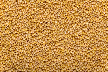Background of raw millet seeds close up. Millet seeds texture.