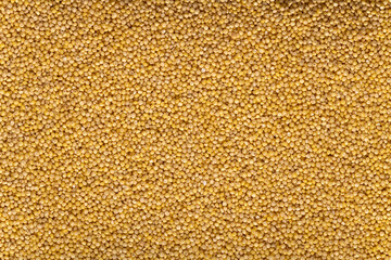 Background of raw millet seeds close up. Millet seeds texture.