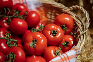 There is a basket full of freshly picked organic red tomatoes on the grass. Realistic, fresh produce is sold at the local farmers market