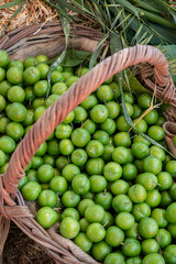 Green plum background, summer fruit green plum sold in open air market, top view photo