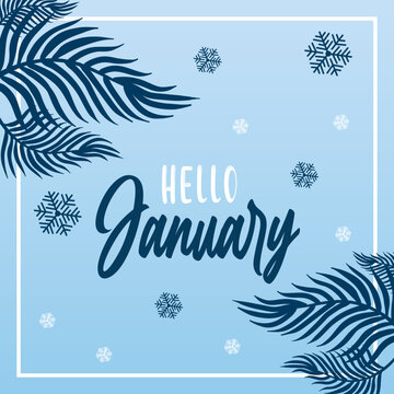 Hello January. Vector for greeting, banner, postcard, new month, new year.