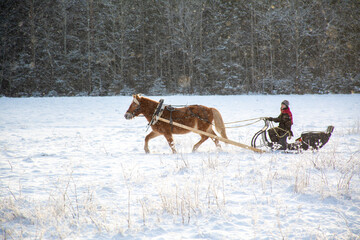 Woman with horse and sleigh in winter