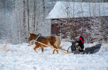Woman with horse and sleigh in winter