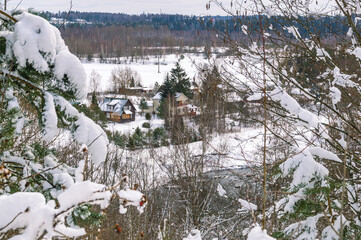 White snow on trees in winter. View of the village with wooden houses next to the river in winter. Snow-covered branches of trees and shrubs after a snowfall. Vacation in the village in winter.
