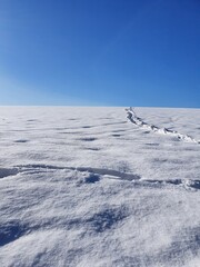 Pole pokryte śniegiem, snow field