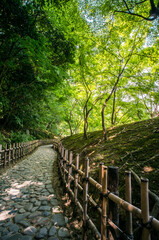 Fototapeta premium 香川 栗林公園の新緑に囲まれた美しい散歩道