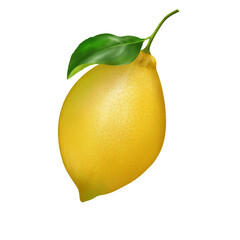 Yellow lemon has one green leaf on a white background.