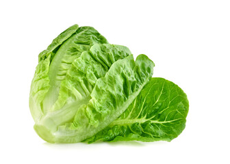 Fototapeta premium fresh baby cos (lettuce) on white background