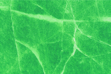 Light Green abstract vector illustration background