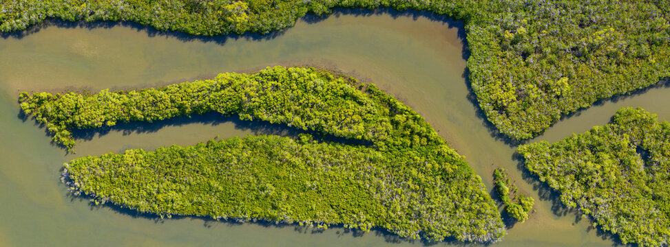 Aerial panoramic view of murky waterways cutting through lush green coastal mangrove forests