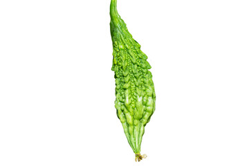 Momordica charantia (commonly called bitter melon; Goya; bitter apple; bitter gourd; bitter squash; balsam-pear; isolated on white.