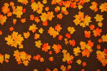 Fototapeta premium Illustration of autumn maple leaves outdoors, generative ai