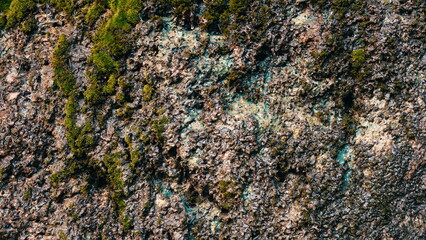Moss on the rock and moisture. Water flows over the rock