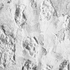White Wall Textured Background Concrete Cement Abstract Rustic Shabby Surface Stock High Quality Photo Black and white