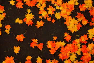 Naklejka na ściany i meble Illustration of autumn maple leaves outdoors, generative ai