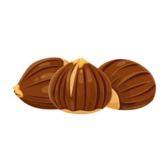 Chestnut vector icon.Cartoon vector icon isolated on white background chestnut.