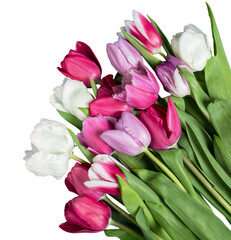 A beautiful fresh bouquet of colored tulips