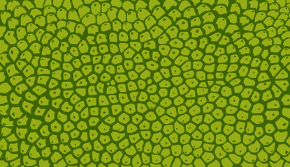 Jackfruit texture for pattern, vector art