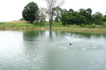 Common and small fish pond in a local fisheries.