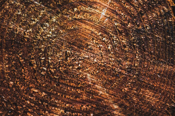 close up of cut wood