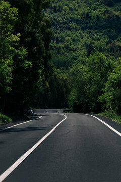 Curvy asphalt road in nature