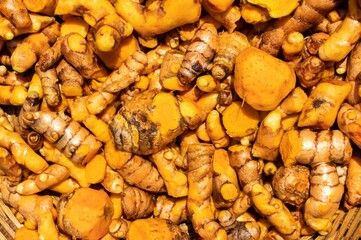 Raw Turmeric Roots Background in Horizontal Orientation