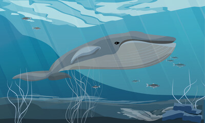 The blue whale swims in the cold sea. marine mammals. Realistic vertical landscape