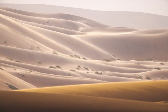 Smooth texture of sandy dunes