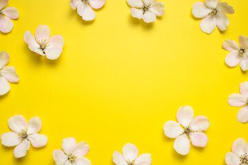 Naklejka na ściany i meble Spring background. Beautiful delicate fresh spring flowers and buds of apple tree on yellow background flat lay top view. Springtime nature concept. Bloom, inflorescence, flowering 
