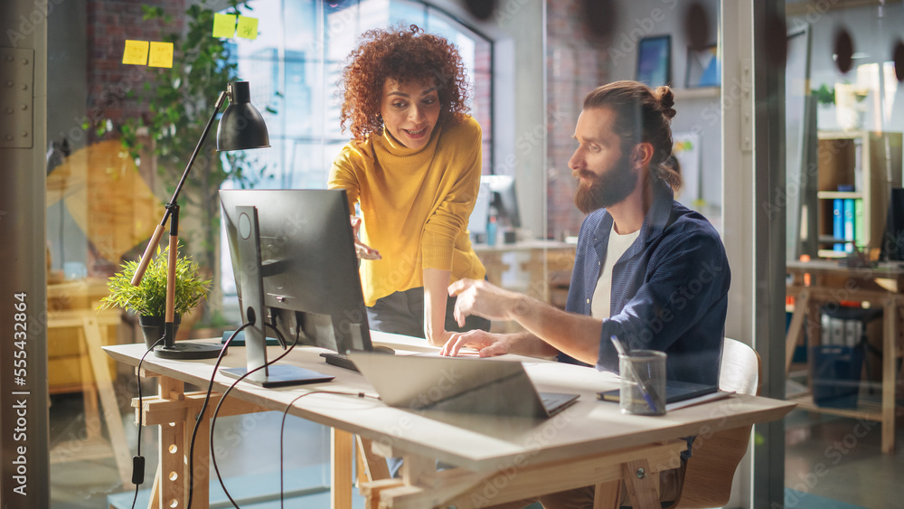 Poster portrait of two young entrepreneurs talking, using a computer to discuss a corporate project. stylis