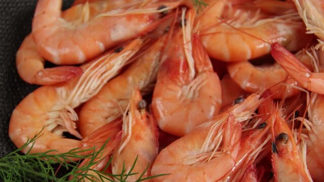 crevettes rose cuites en gros plan	