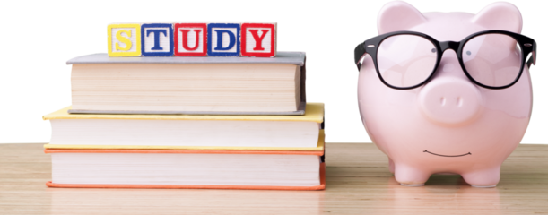 Pink piggy bank with books and wooden cubes