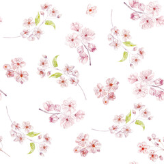 Watercolor Seamless Pattern with Sakura, Cherry Flowers on the white Background.